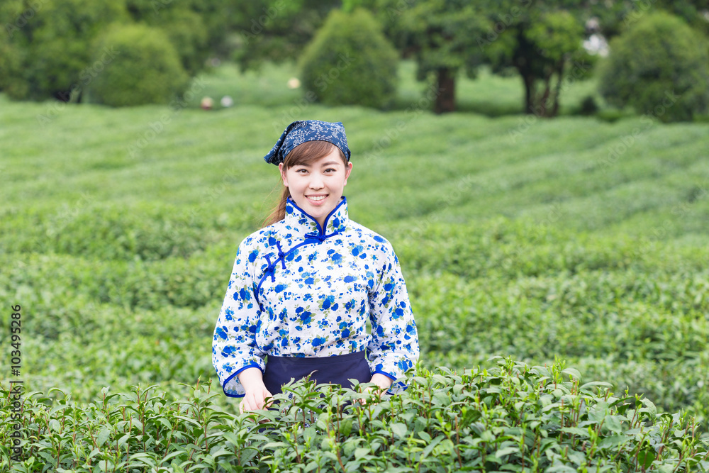 茶园里美丽的亚洲女孩