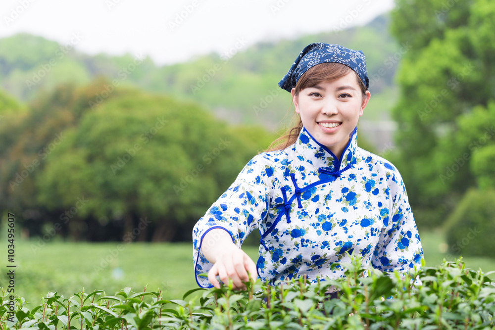 茶园里美丽的亚洲女孩