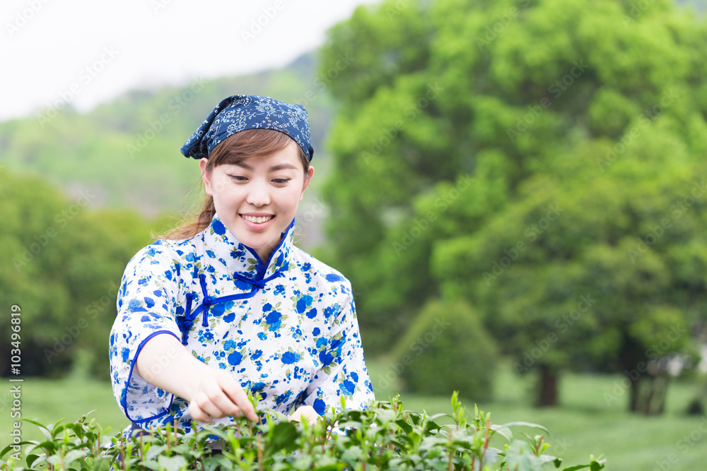 茶园里美丽的亚洲女孩