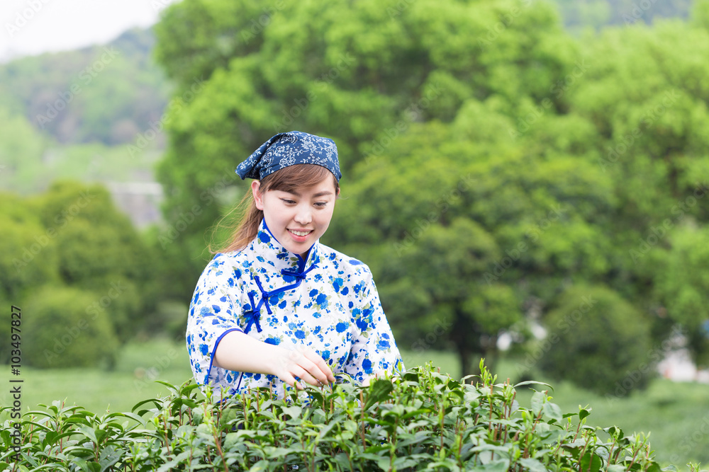 茶园里美丽的亚洲女孩