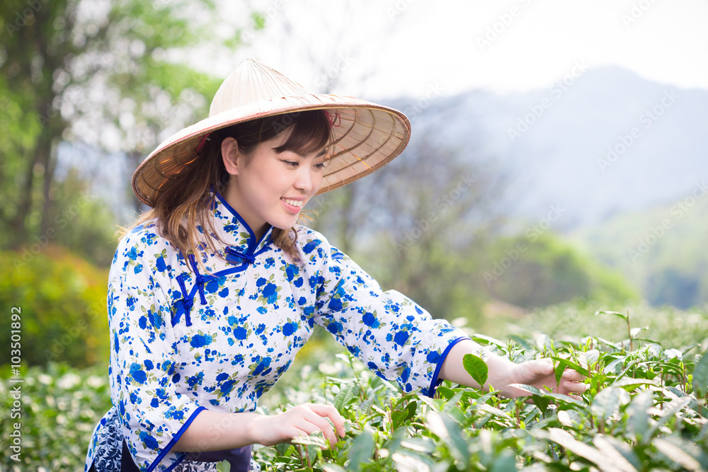 茶园里美丽的亚洲女孩