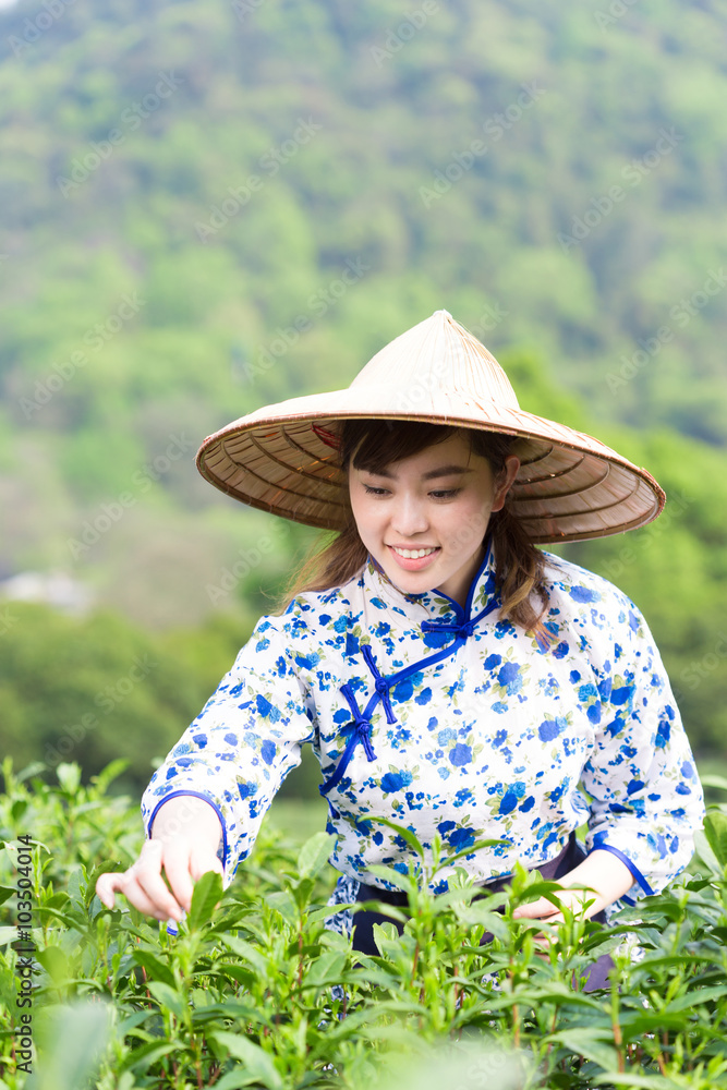 beautiful Asian girl in tea plantation