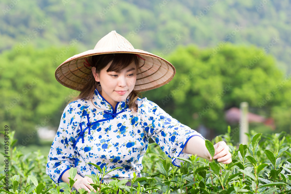 茶园里美丽的亚洲女孩