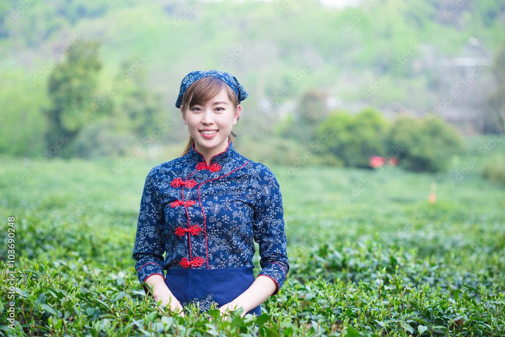 在绿茶种植园工作的美丽亚洲女孩