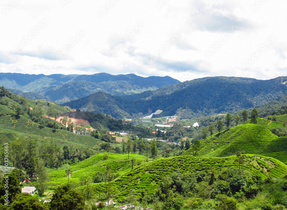 Landscape panorama view of field on mountain