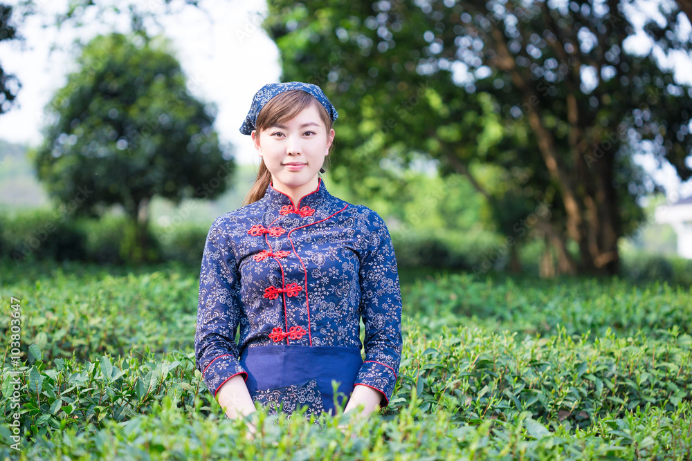 美丽的亚洲女孩在绿茶种植园工作