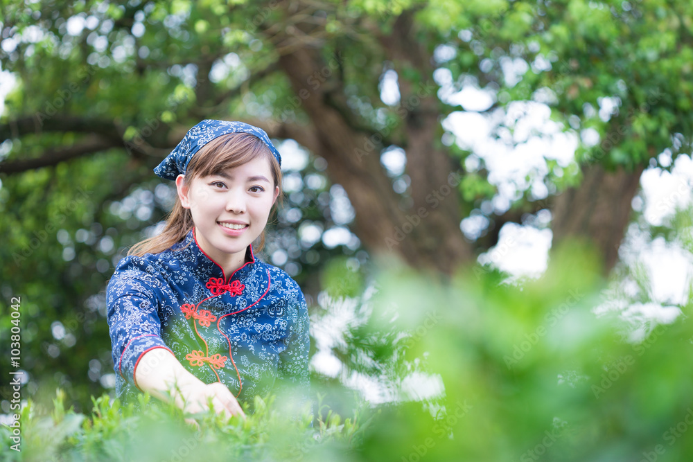 美丽的亚洲女孩在绿茶种植园工作