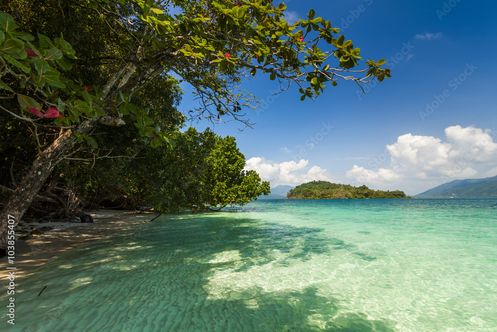 On the shore of of a tropical island. Koh Chang. Thailand.