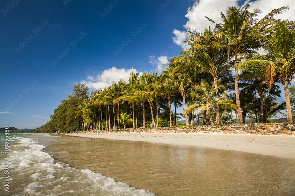 椰子树和沙滩的热带景观。Koh Chang