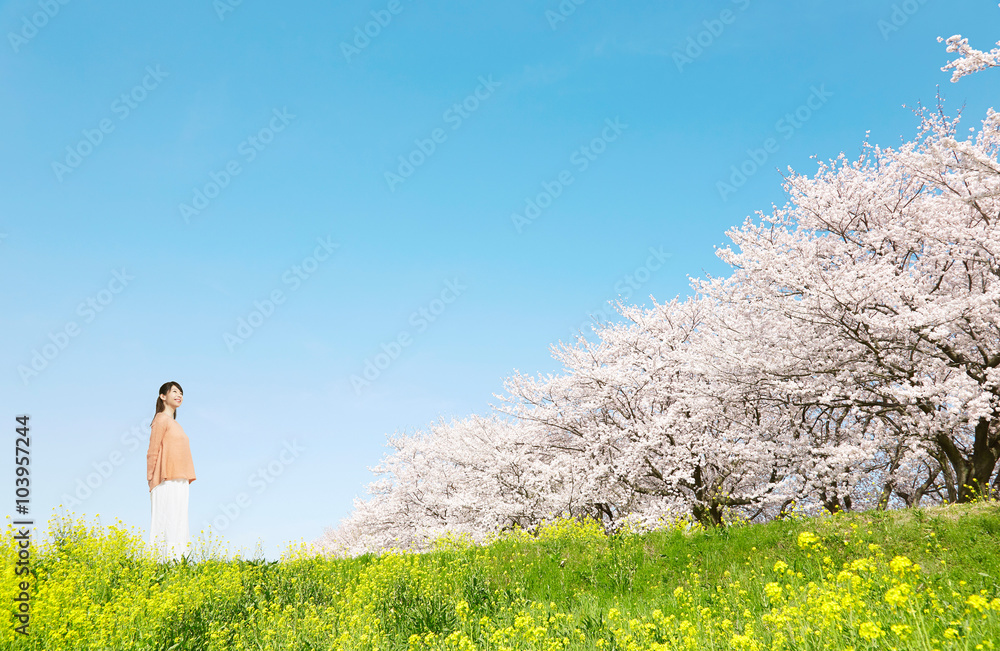 満開の桜と女性