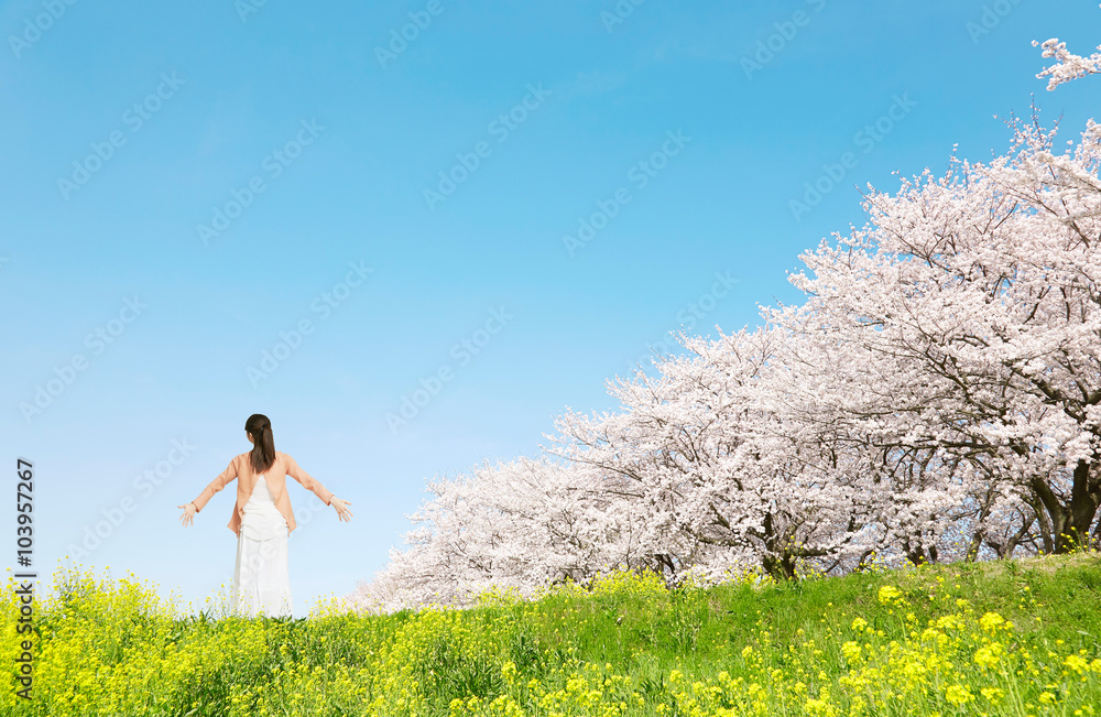 満開の桜と女性