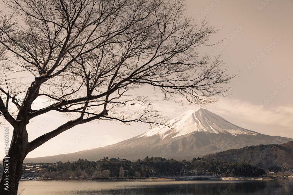 冬天川口湖的富士山