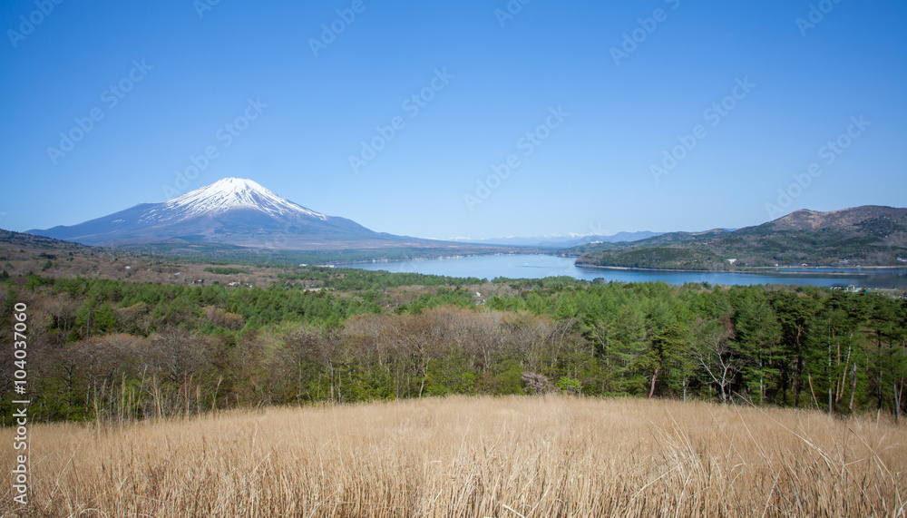 春季富士山和山那角湖