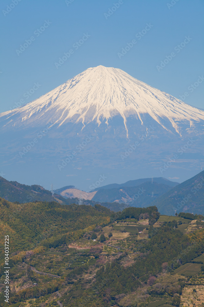 石冈县春天的富士山