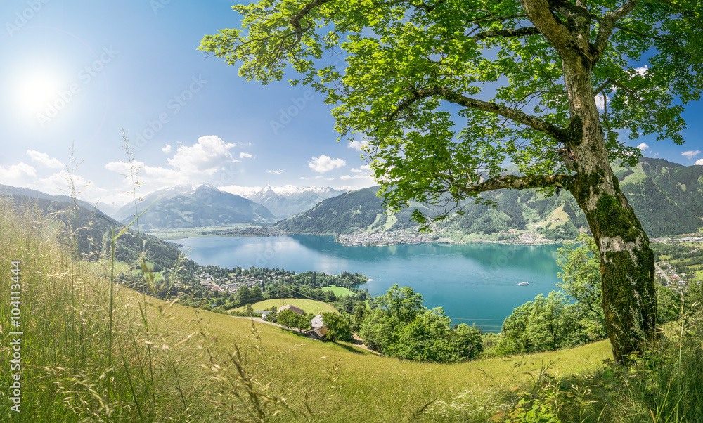 Zell am See im Frühsommer, Zeller See vor dem Kitzsteinhorn, Salzburger Land, Österreich