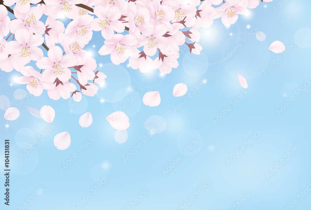 桜　青空