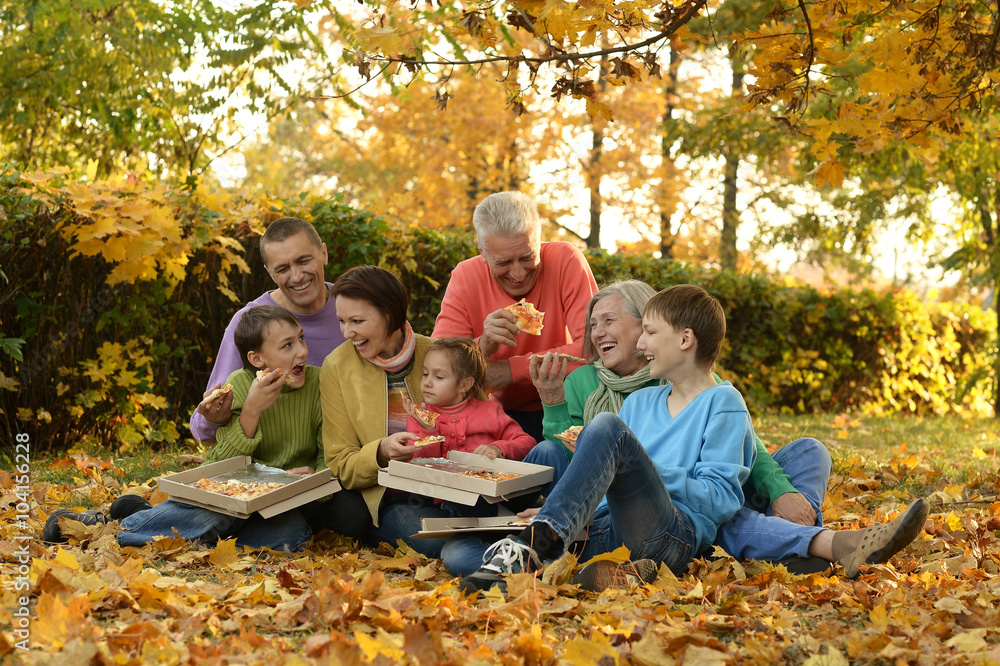 large family picnic