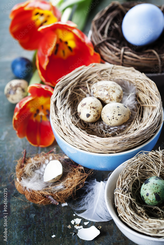 Easter composition with tulips and nests