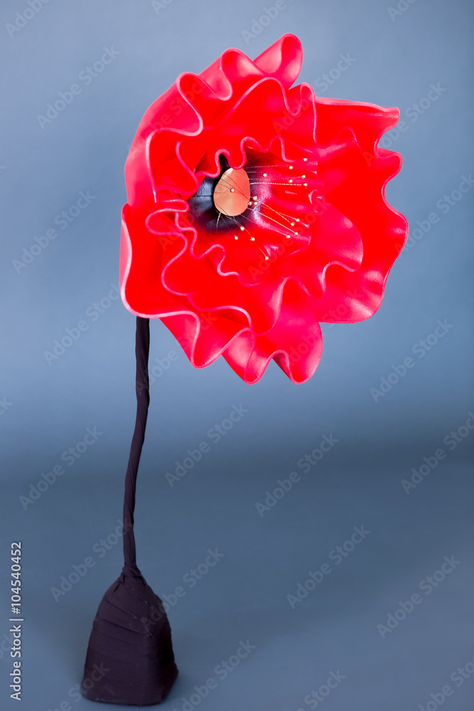  One big red tulip