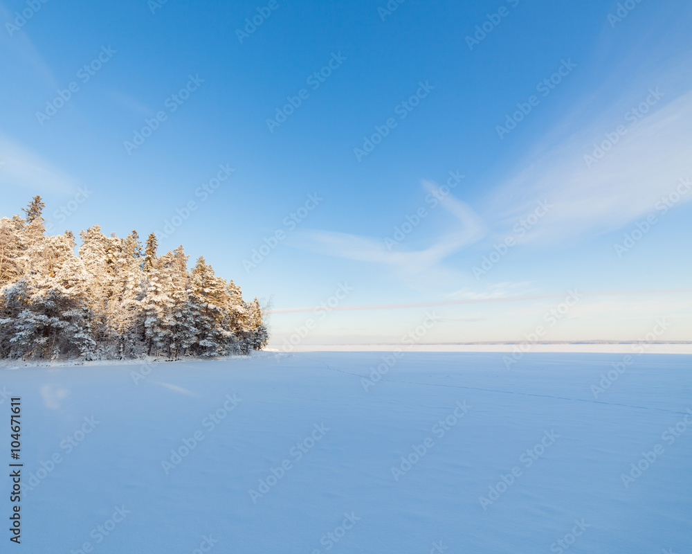 冰雪覆盖的湖泊和森林