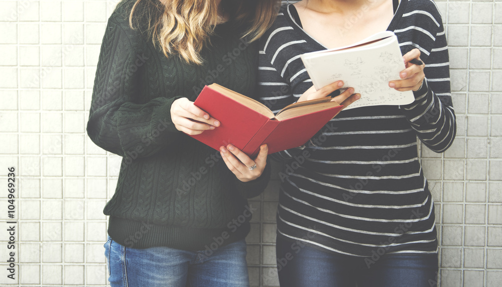 Women Talking Friendship Studying Brainstorming Concept