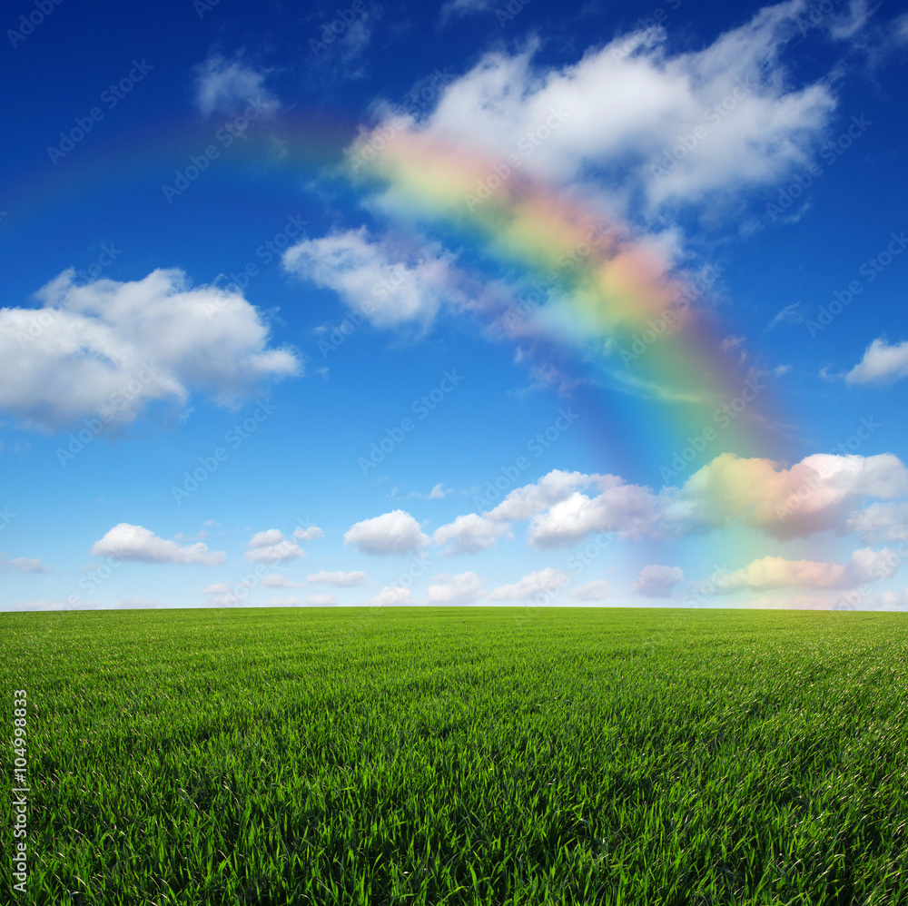 Rainbow on landscape