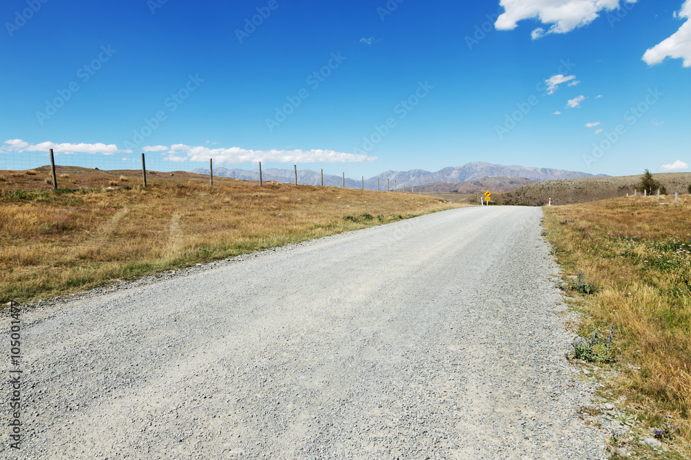 新西兰夏日牧场附近的道路