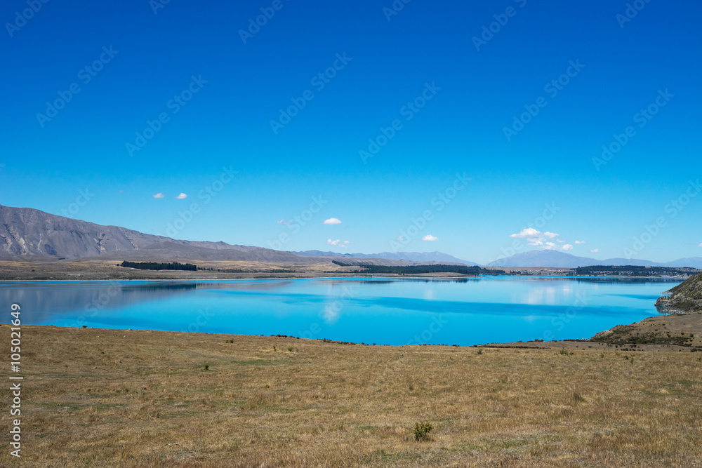 新西兰夏日阳光明媚的湖边草地