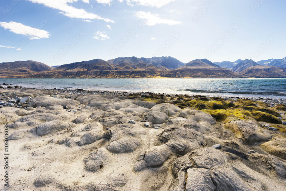 empty ground near lake in summer day in new zealand