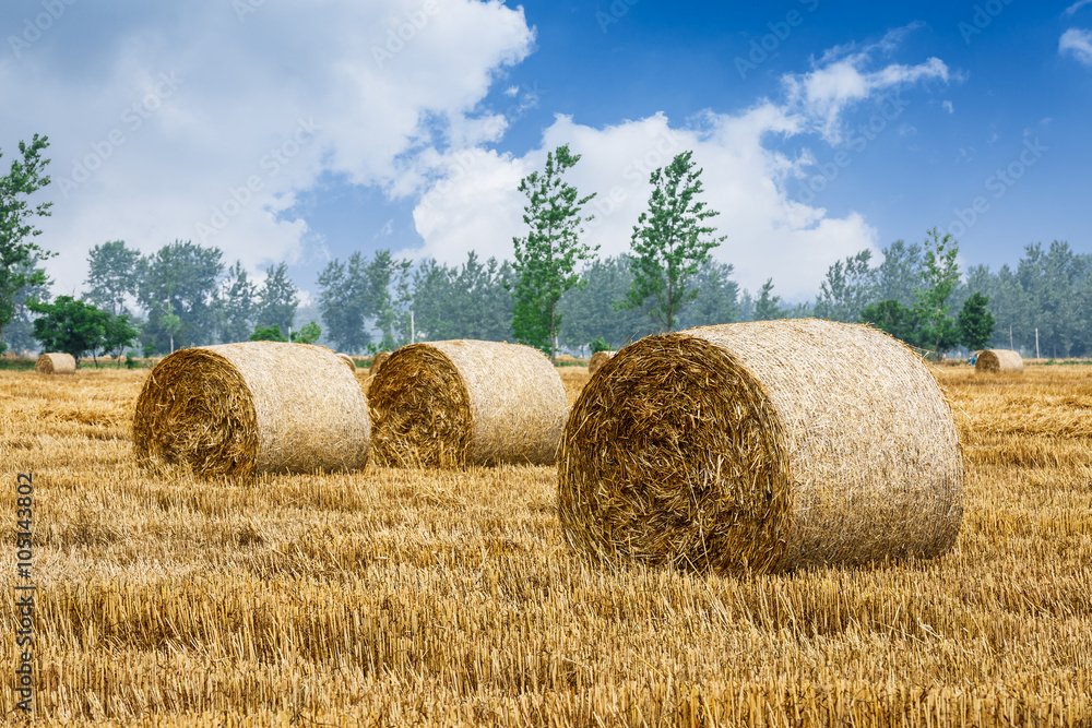 Straw bales Scenery in the country farm