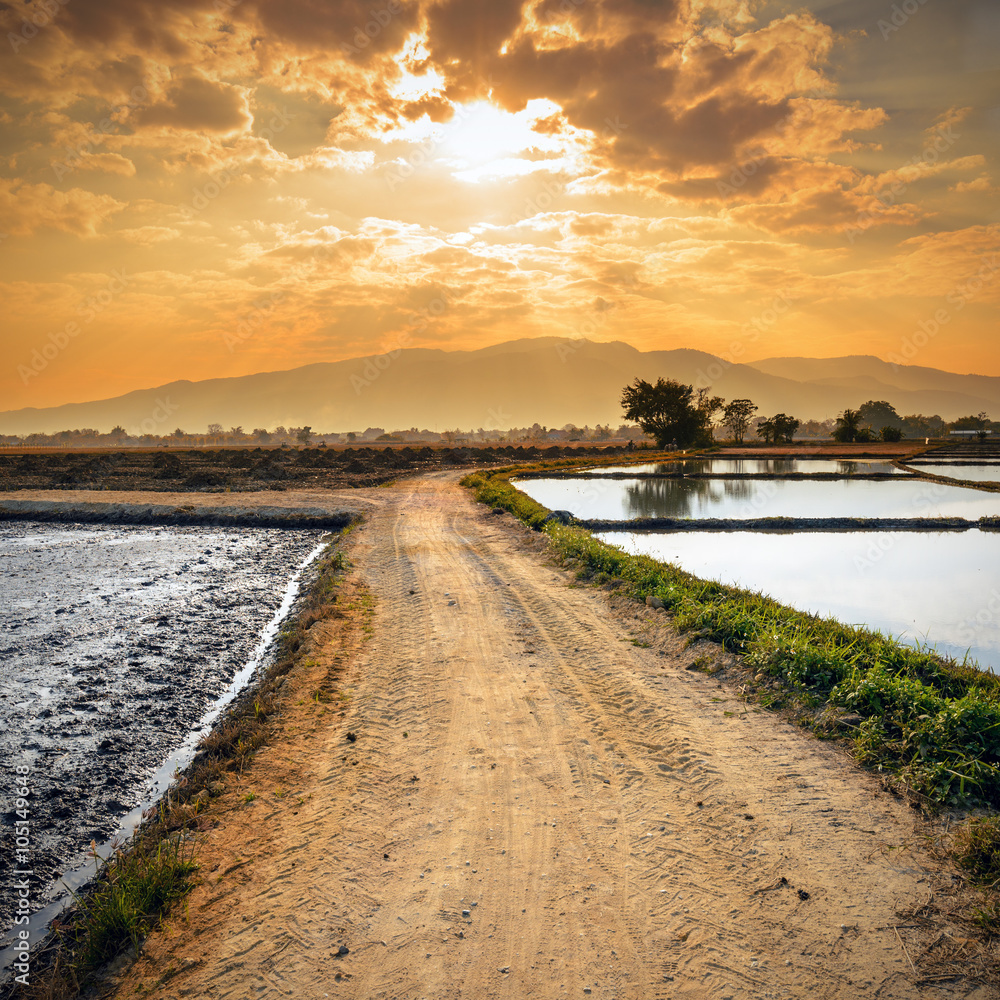 country road and sunset