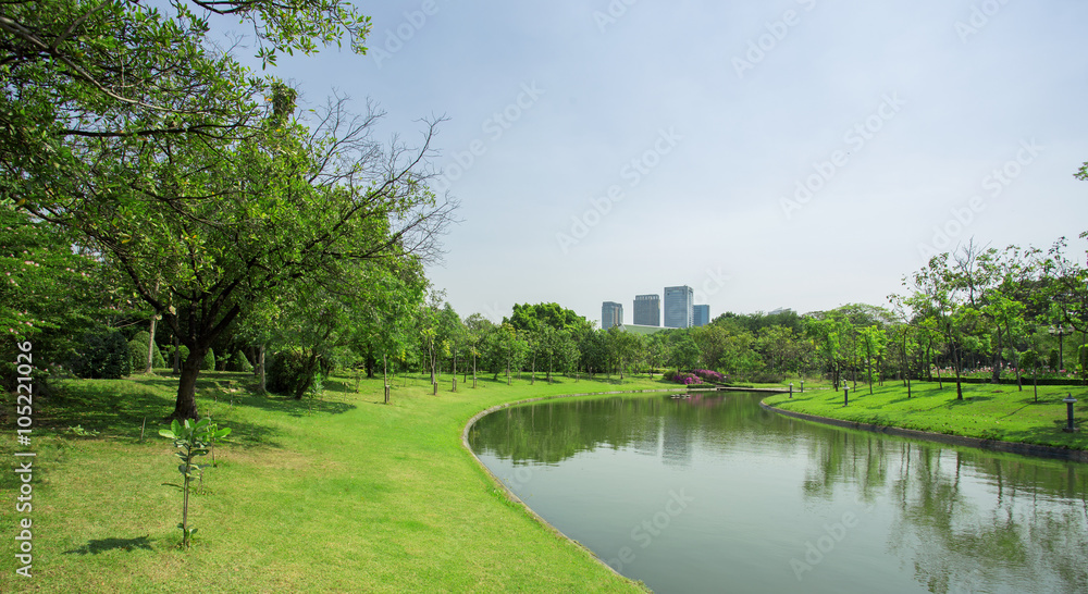 Green Lawn of a Spacious City Park