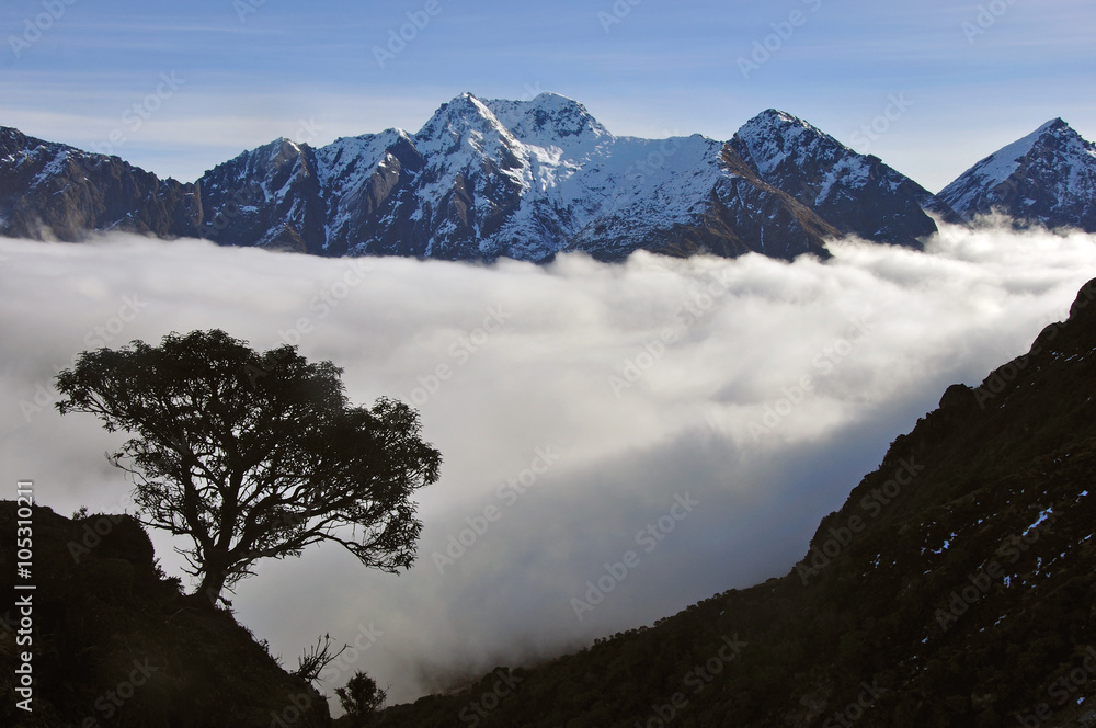 新西兰西海岸崎岖的高山风光