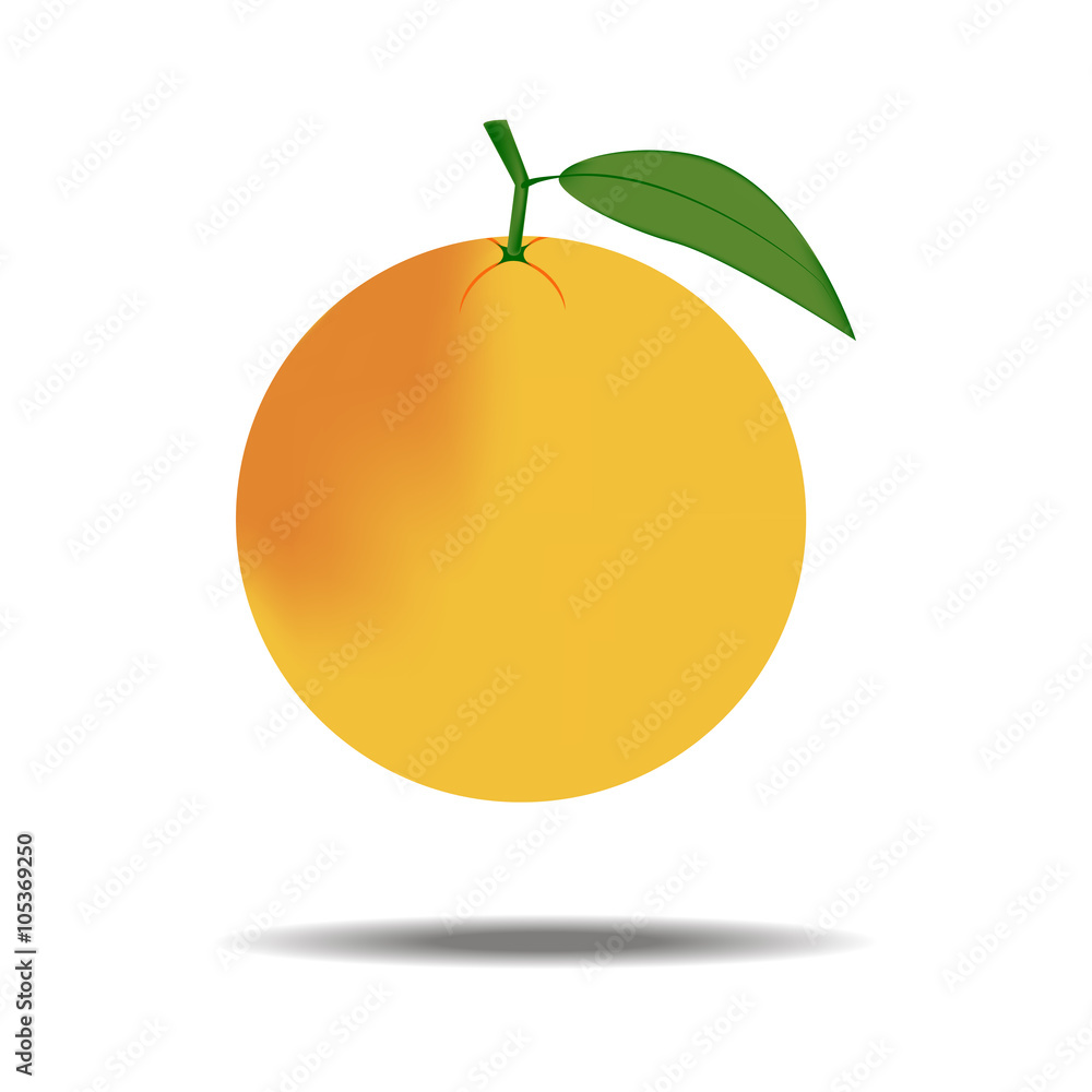 Grapefruit Fruit Icon