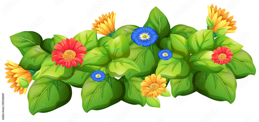 Green leaves with colorful flowers