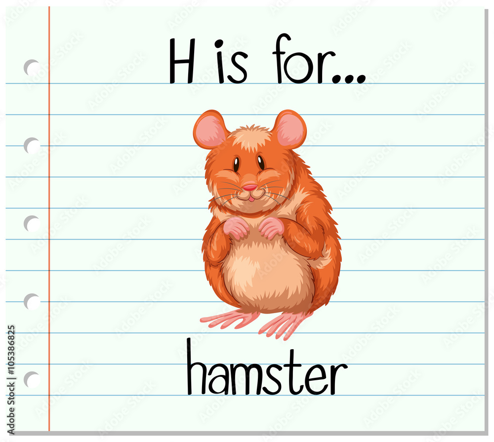 Flashcard letter H is for hamster