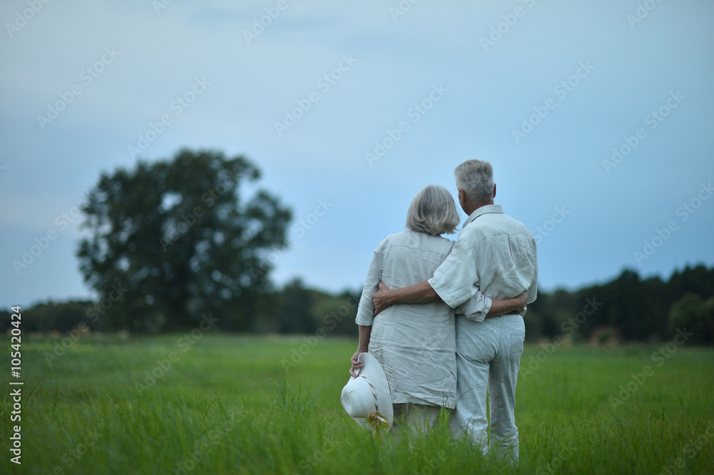 senior couple  in summer field