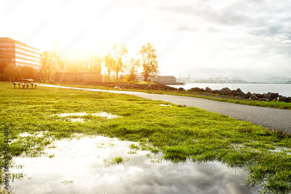 landscape of road through grassland near lake in morning