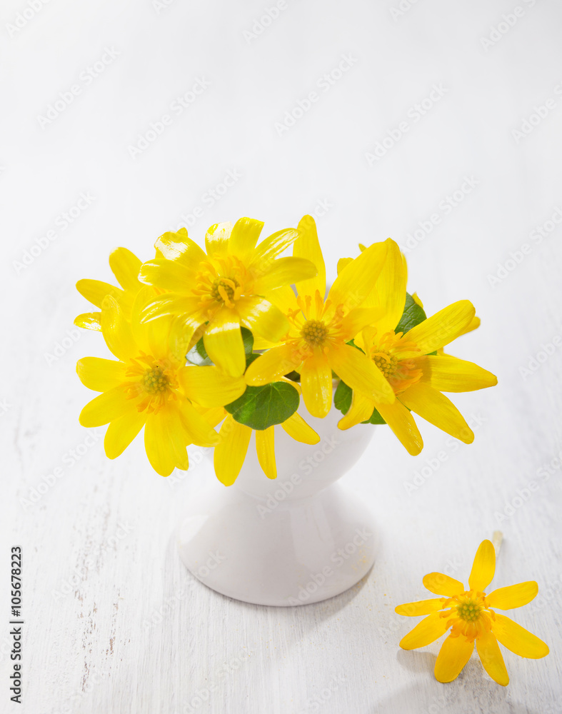 Bunch of early spring flowers ( Caltha palustris) in stand for boiled egg on the white wooden plank.