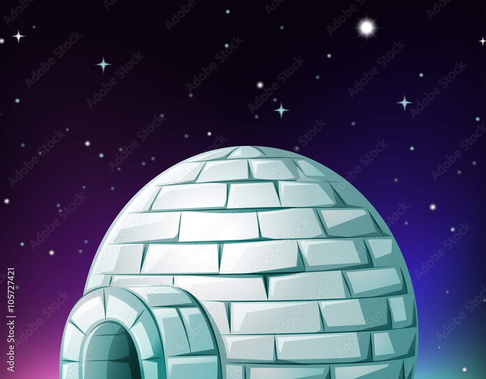 夜间Igloo