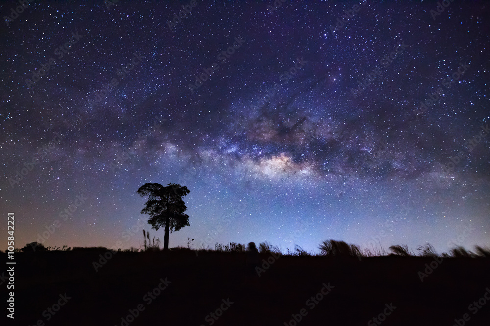 夜空中的树和美丽的牛奶路的剪影。长e