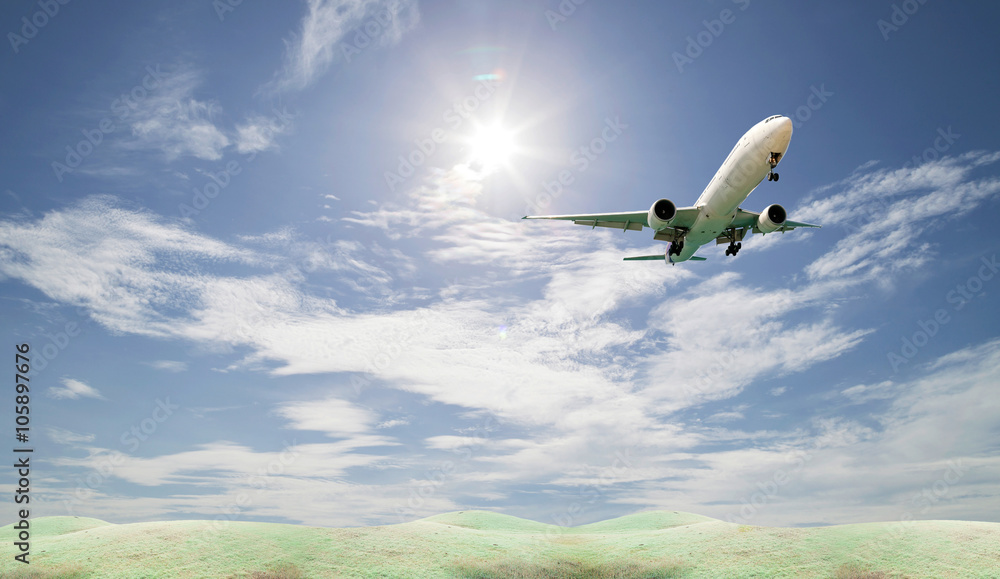 Passenger airplane  landing and Field grass with blue sky.