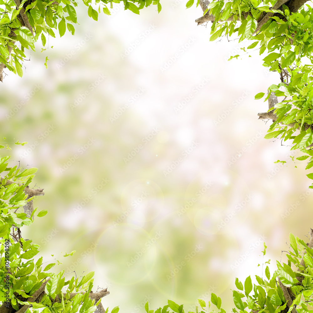 Green leaves frame  on green nature background.