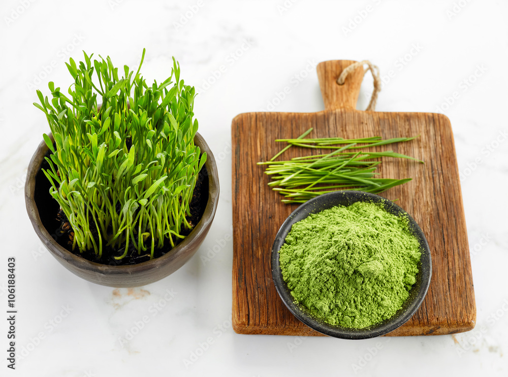 bowl of wheat sprout powder