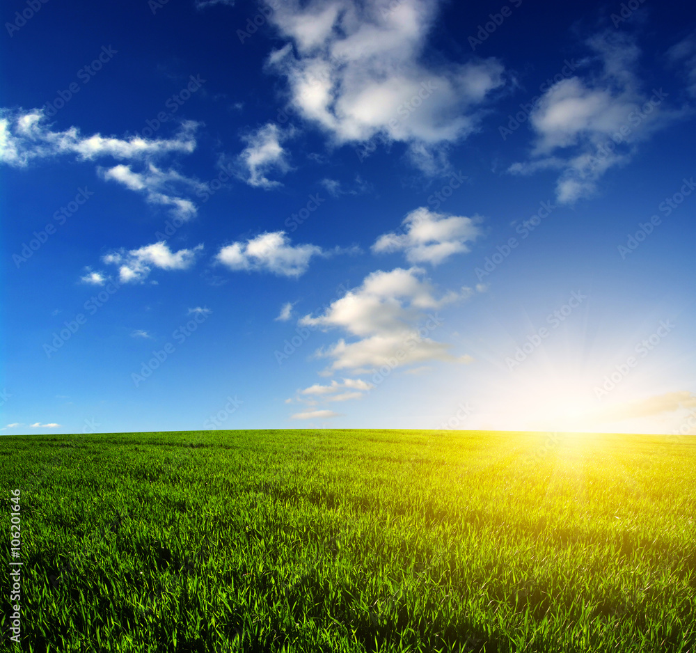  field and sun