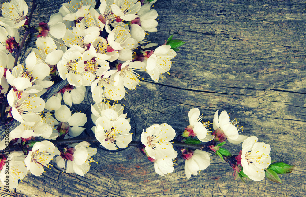 Spring blossoms