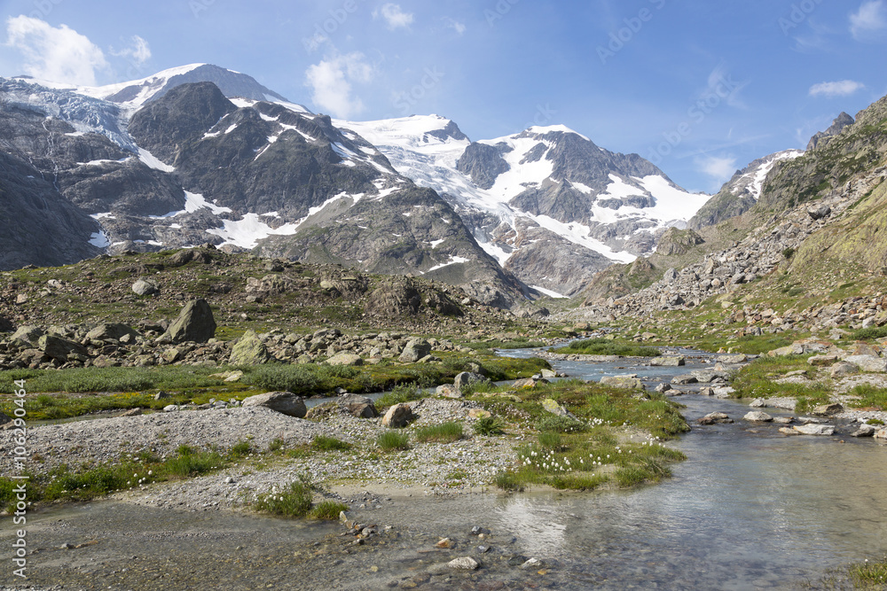 瑞士伯尔尼高地的高阿尔卑斯山，有小溪