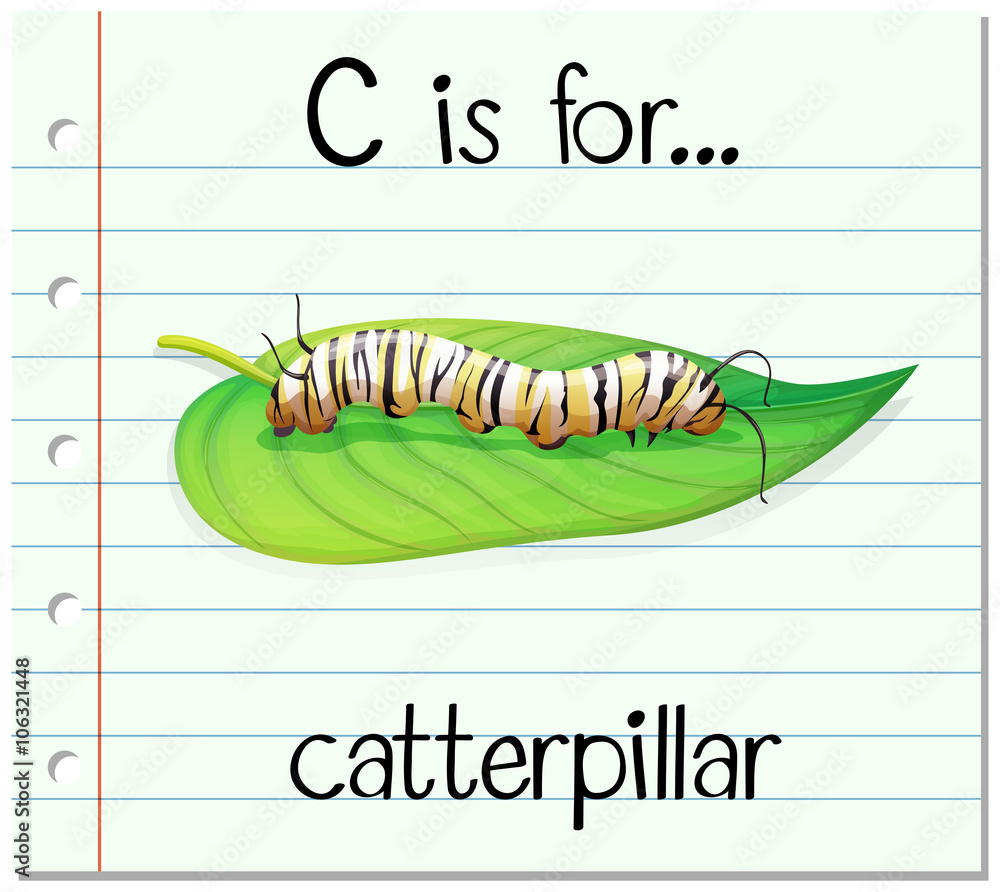 Flashcard字母表C代表catterpillar