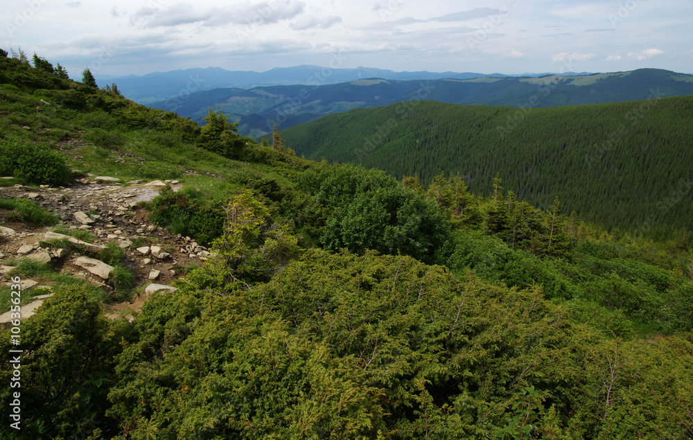 夏日山景