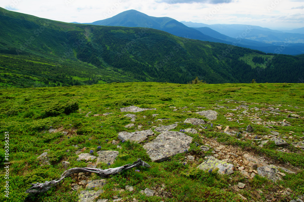 夏日山景